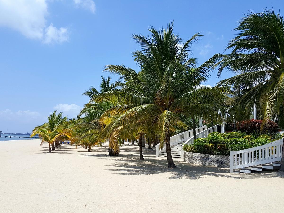 The Placencia Maya Beach Eksteriør bilde